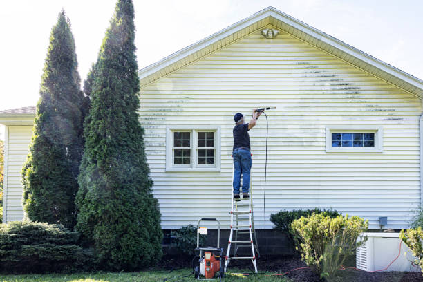 Best Residential Pressure Washing Services  in USA